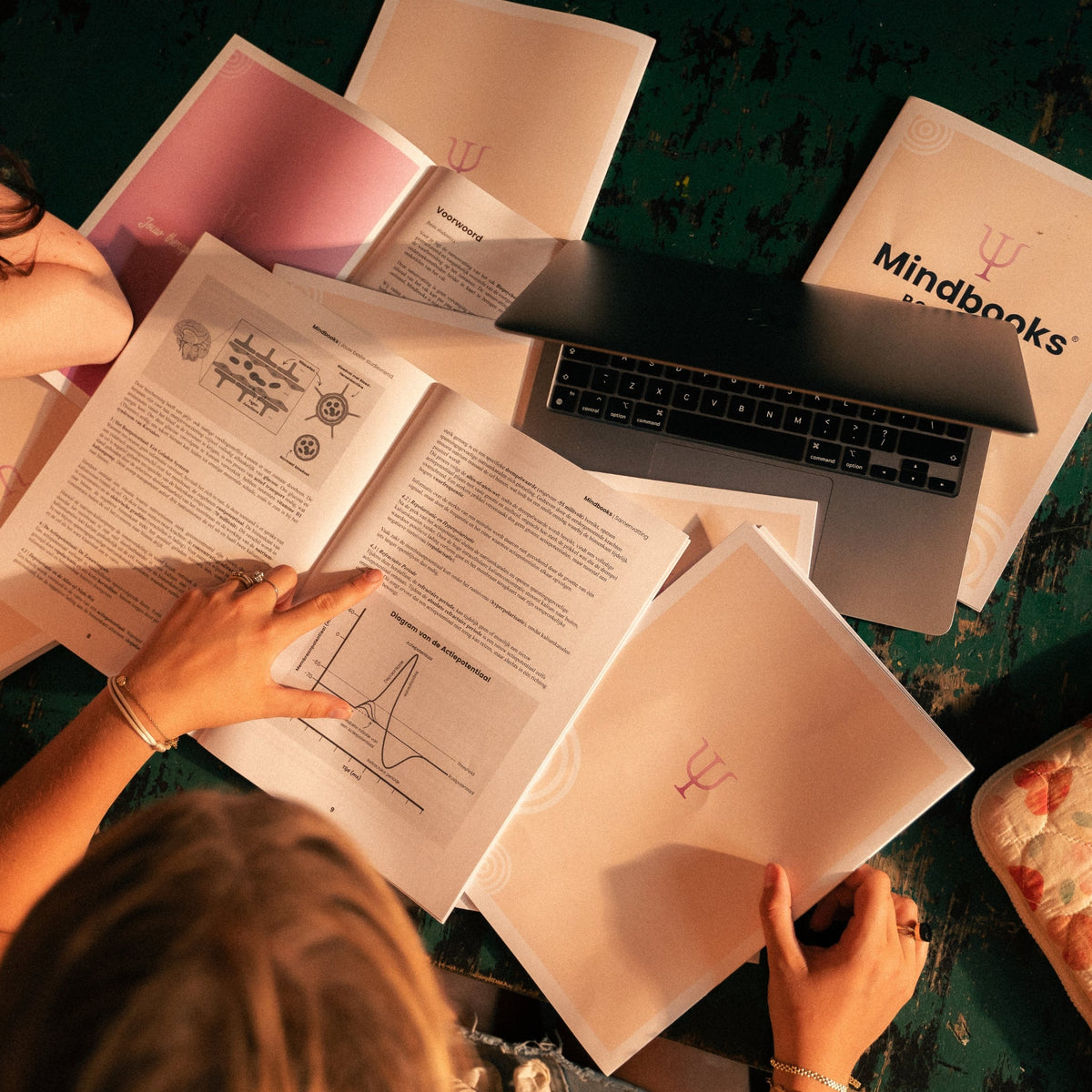 Studying Psychology at the University of Amsterdam: First-Year Guide