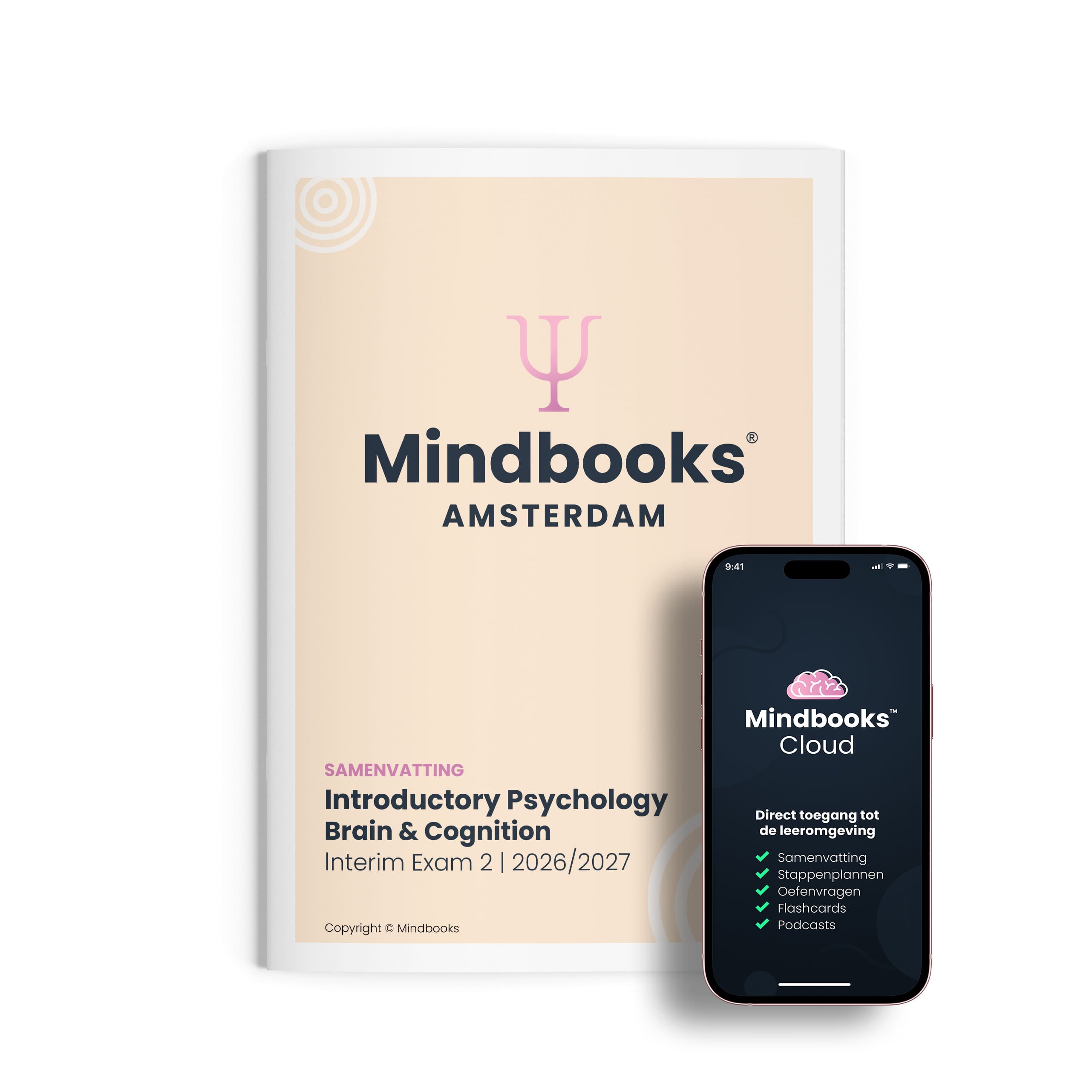 Brain & Cognition (UvA)